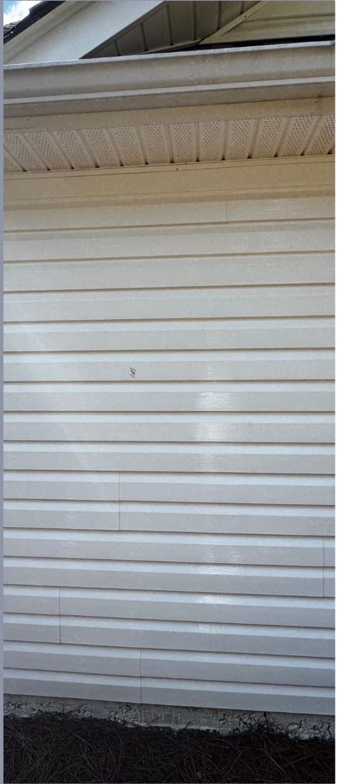 The same vinyl siding after a low-pressure soft wash, with the algae removed and the siding returned to clean white