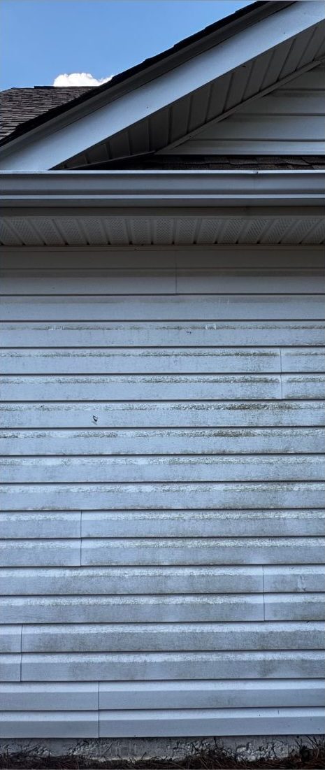 White vinyl siding covered in green algae streaks and mildew before soft washing